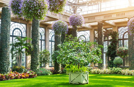 太陽能和空氣能兩者相比，哪個比較實用