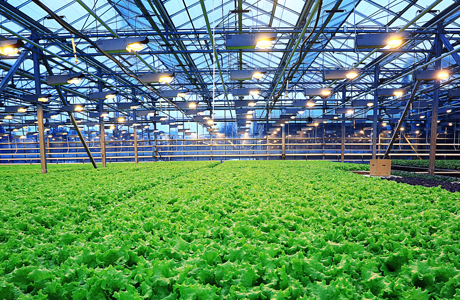 高效種植新時(shí)代：空氣能熱泵在農(nóng)業(yè)大棚中的應(yīng)用